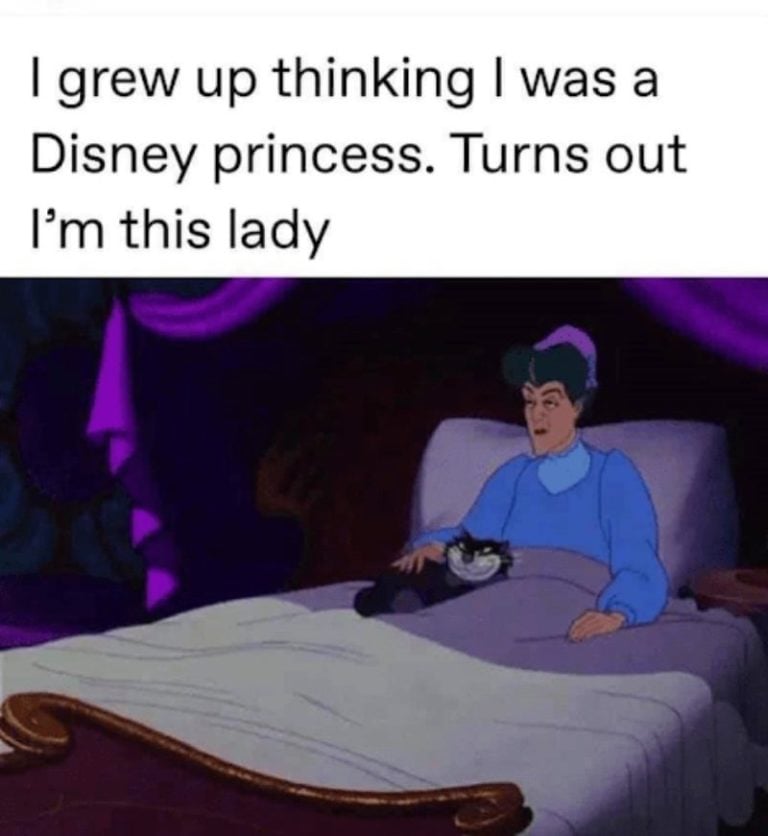 Relatable Disney Memes and Tweets from the Page 6