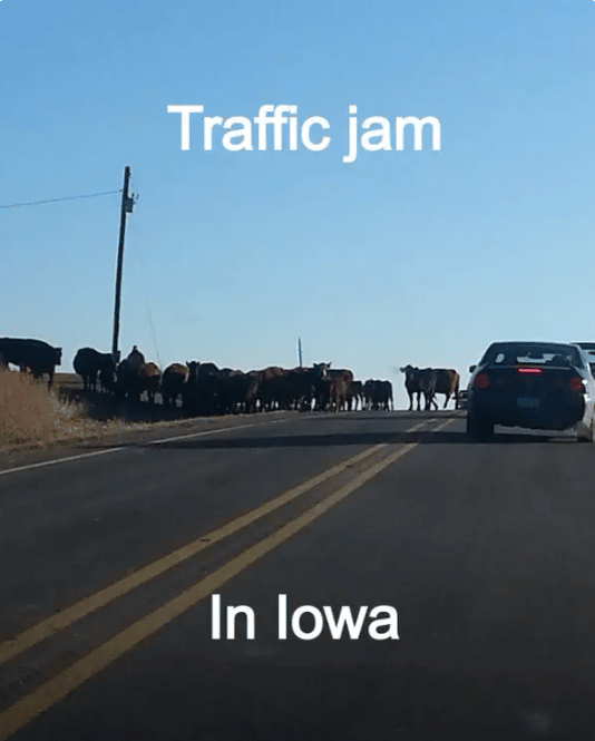 iowa.png