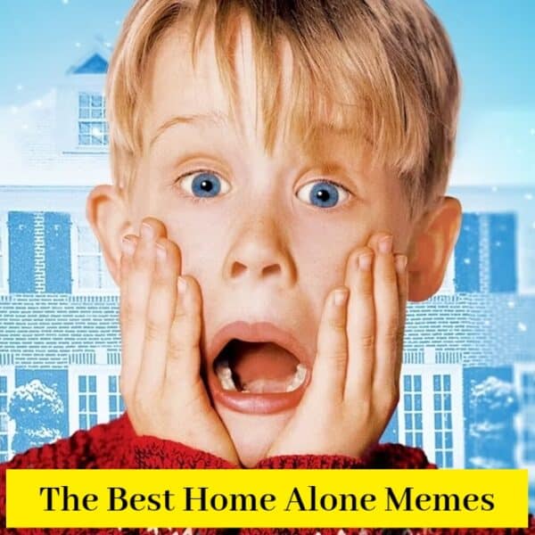 35+ Home Alone Memes That Will Crack You Up