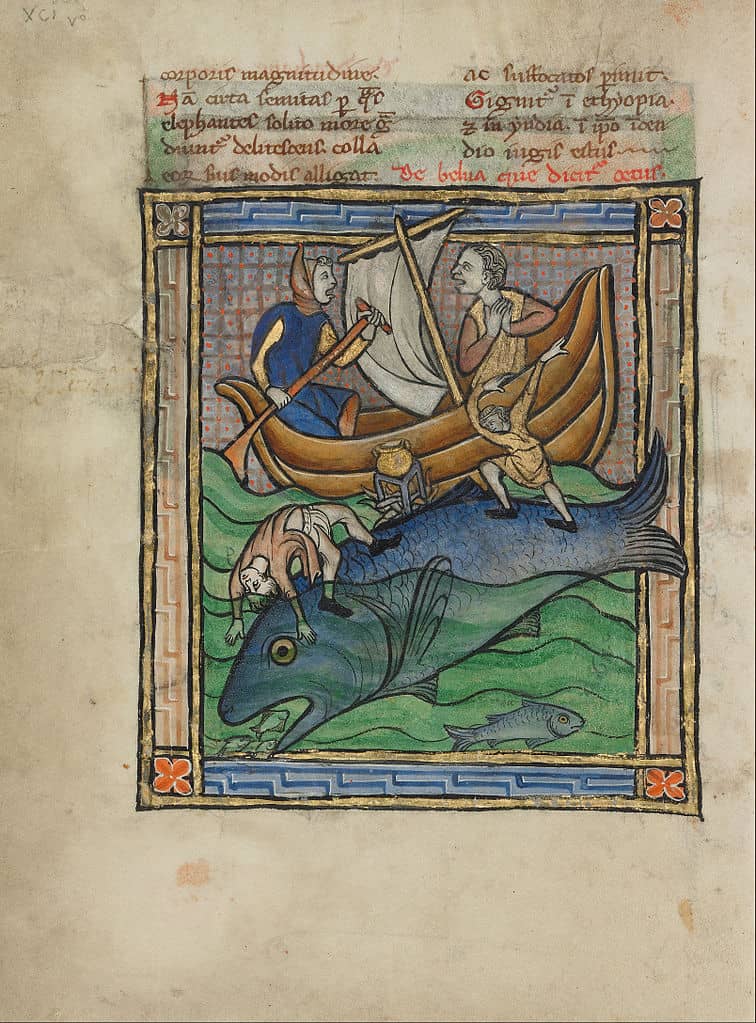 Medieval Cod Fish Eating Through Time: These Medieval Foods Have Changed the Way We Dine ...
