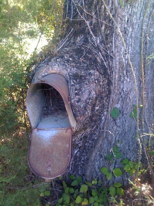 Wild Mailboxes These Wild Mailboxes Will Make You Smile, Gawk, and Write Letters ASAP ...