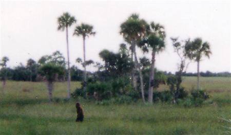 20 American Cryptids — from Bigfoot to the Mothman – Page 6